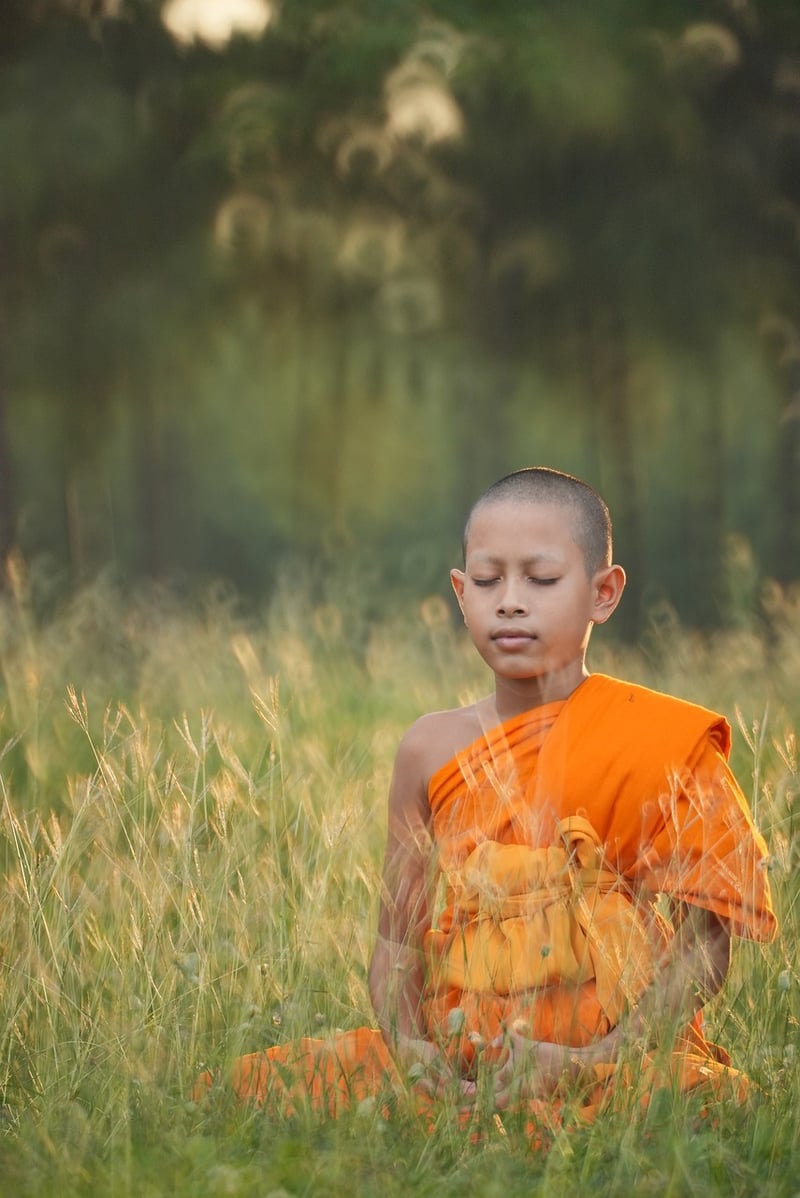 Restorative Techniques